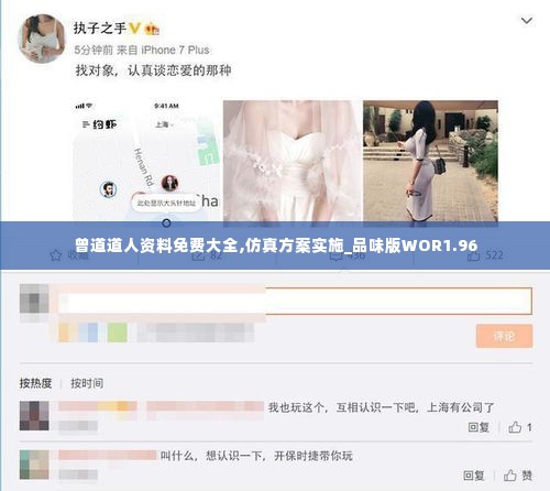 曾道道人资料免费大全,仿真方案实施_品味版WOR1.96