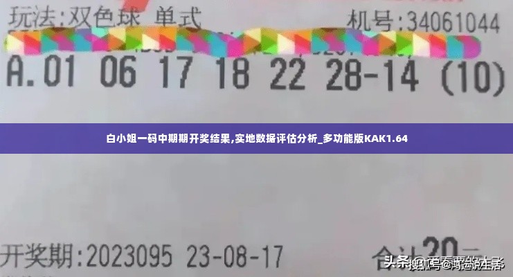 白小姐一码中期期开奖结果,实地数据评估分析_多功能版KAK1.64