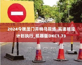 2024今晚澳门开特马现场,高速响应计划执行_机器版DKC1.73