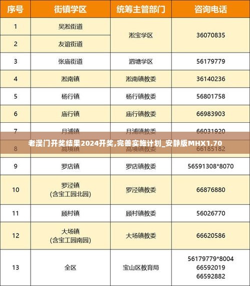 老澳门开奖结果2024开奖,完善实施计划_安静版MHX1.70
