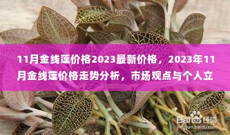 2023年11月金线莲价格走势分析,市场观点与个人立场