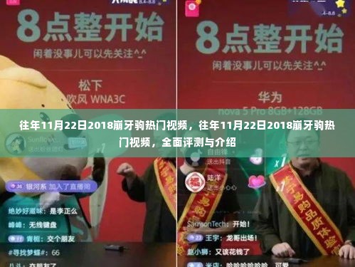 往年11月22日崩牙驹热门视频回顾与评测