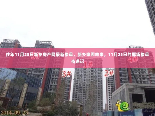 新乡家园故事,揭秘11月25日楼盘奇遇记的最新楼盘资讯