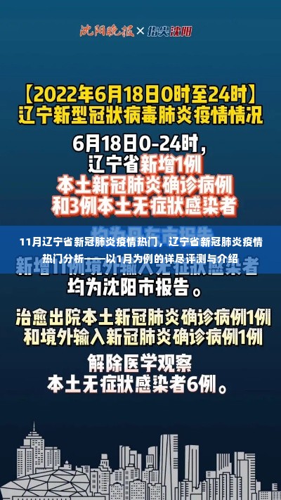 辽宁省新冠疫情热点解析,以1月为例的详细分析与介绍