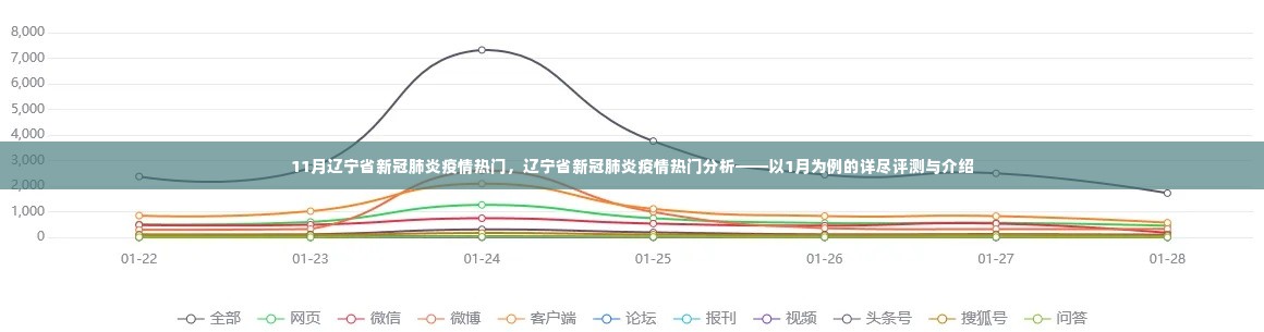 辽宁省新冠疫情热点解析,以1月为例的详细分析与介绍