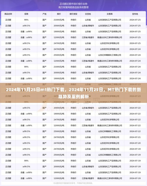 2024年11月25日MT热门下载趋势及案例解析