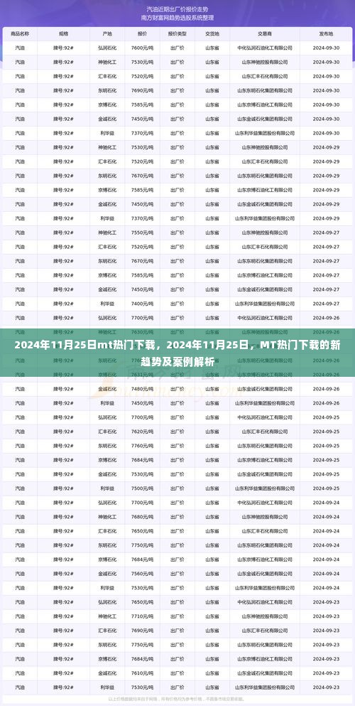 2024年11月25日MT热门下载趋势及案例解析