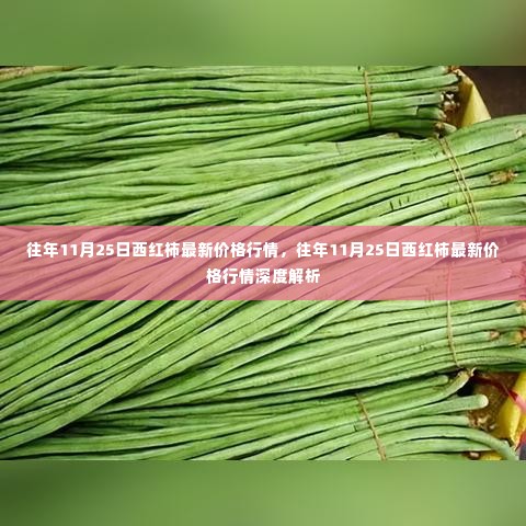 往年11月25日西红柿价格行情概览与深度解析