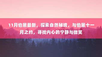 伯恩十一月秘境之旅,探索自然,寻找内心宁静与微笑