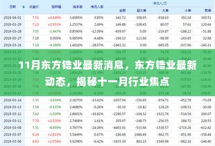 揭秘东方锆业最新动态与行业焦点聚焦十一月消息