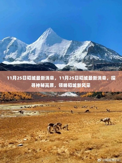 探寻神秘高原,最新稻城消息带你领略稻城新风采