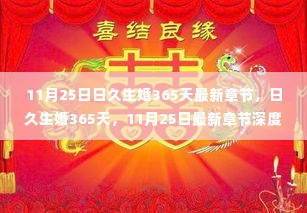 11月25日日久生婚365天最新章节深度解析与时代地位