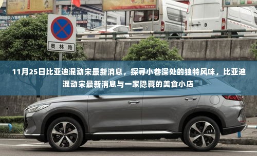 比亚迪混动宋最新动态,探寻美食小店与小巷深处的独特风味