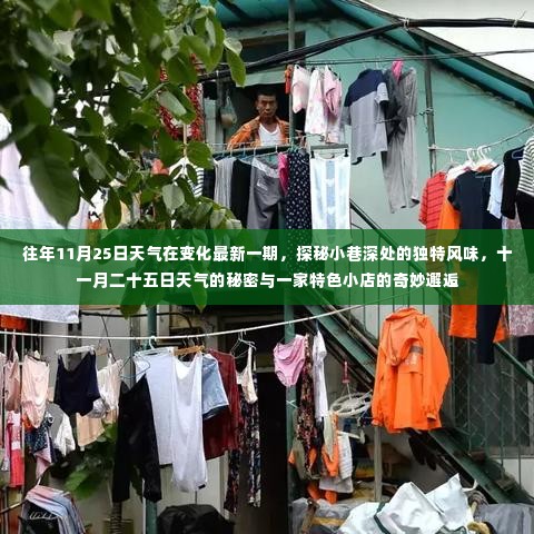 十一月二十五日,天气变化中的小巷风情与特色小店的奇妙邂逅