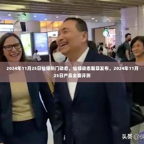 越鸟南栖 第5页