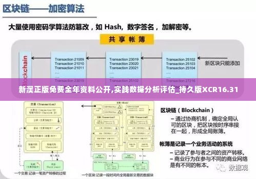 新澳正版免费全年资料公开,实践数据分析评估_持久版XCR16.31