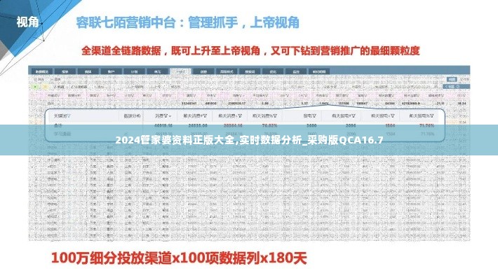 2024管家婆资料正版大全,实时数据分析_采购版QCA16.7