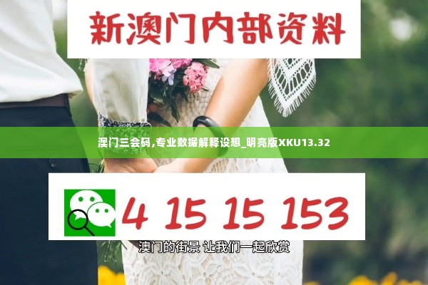 澳门三会码,专业数据解释设想_明亮版XKU13.32