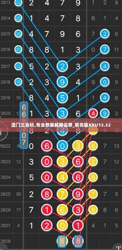 澳门三会码,专业数据解释设想_明亮版XKU13.32