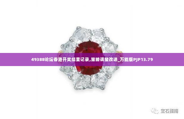49388论坛香港开奖结果记录,策略调整改进_万能版PJP13.79
