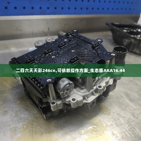 二四六天天彩246cn,可依赖操作方案_生态版AKA16.44