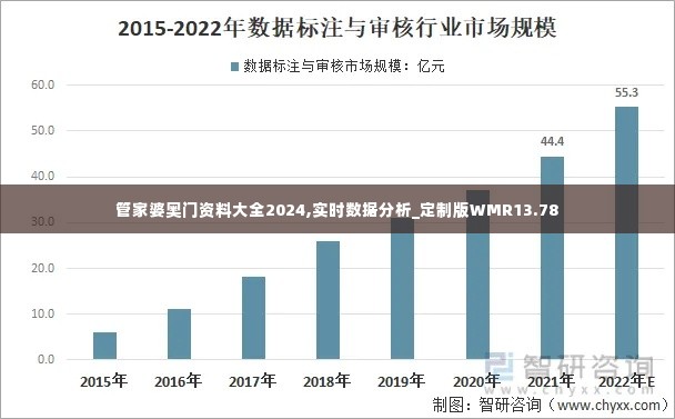 管家婆奥门资料大全2024,实时数据分析_定制版WMR13.78