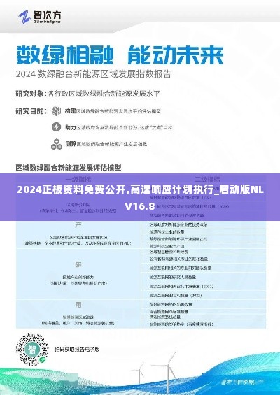 2024正板资料免费公开,高速响应计划执行_启动版NLV16.8