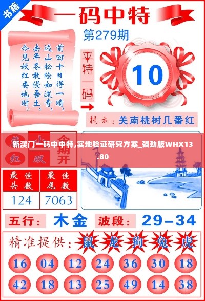新澳门一码中中特,实地验证研究方案_强劲版WHX13.80