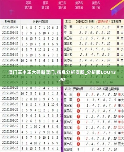 澳门王中王六码新澳门,精准分析实践_分析版LOU13.92