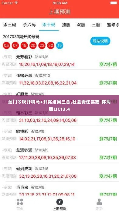 澳门今晚开特马+开奖结果三合,社会责任实施_体现版LIC13.4