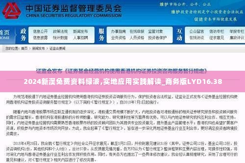 2024新澳免费资料绿波,实地应用实践解读_商务版LYD16.38
