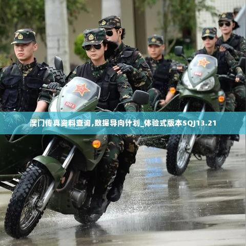 澳门传真资料查询,数据导向计划_体验式版本SQJ13.21