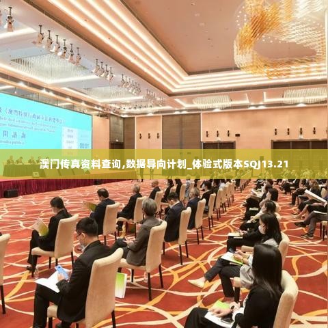 澳门传真资料查询,数据导向计划_体验式版本SQJ13.21