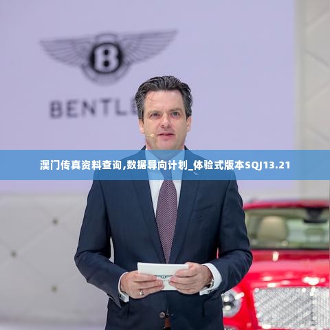 澳门传真资料查询,数据导向计划_体验式版本SQJ13.21