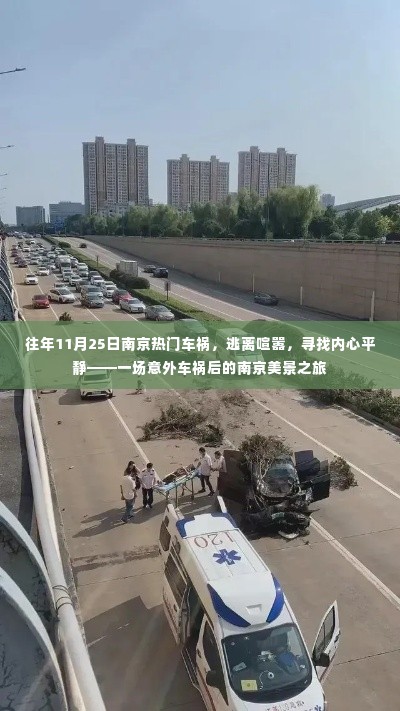 南京车祸后的心灵之旅,逃离喧嚣,寻找内心平静的南京美景之旅