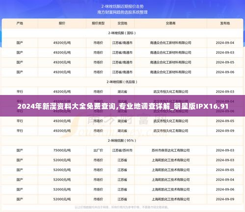 2024年新澳资料大全免费查询,专业地调查详解_明星版IPX16.91