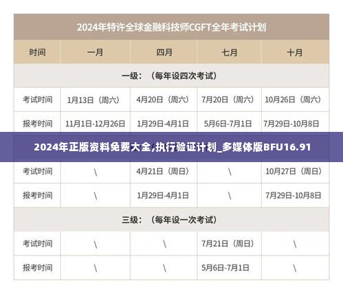 2024年正版资料免费大全,执行验证计划_多媒体版BFU16.91