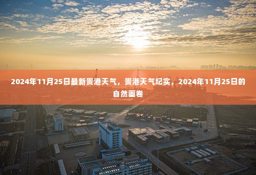 贵港天气纪实,2024年11月25日的自然画卷