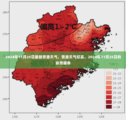 贵港天气纪实,2024年11月25日的自然画卷