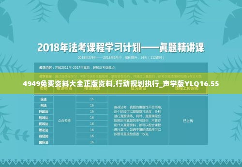 4949免费资料大全正版资料,行动规划执行_声学版YLQ16.55