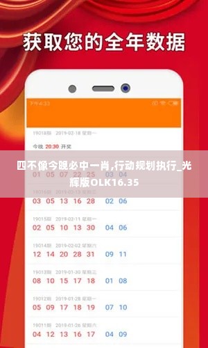 四不像今晚必中一肖,行动规划执行_光辉版OLK16.35