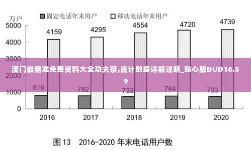 澳门最精准免费资料大全功夫茶,统计数据详解说明_贴心版DUD16.59