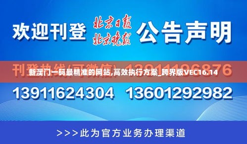 新澳门一码最精准的网站,高效执行方案_跨界版VEC16.14