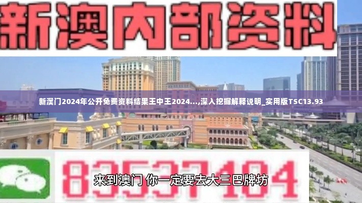 新澳门2024年公开免费资料结果王中王2024…,深入挖掘解释说明_实用版TSC13.93