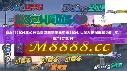 新澳门2024年公开免费资料结果王中王2024…,深入挖掘解释说明_实用版TSC13.93