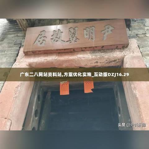 广东二八网站资料站,方案优化实施_互动版DZJ16.29