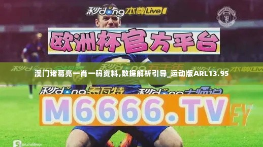 澳门诸葛亮一肖一码资料,数据解析引导_运动版ARL13.95