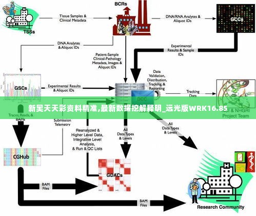 新奥天天彩资料精准,最新数据挖解释明_远光版WRK16.85
