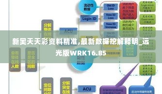 新奥天天彩资料精准,最新数据挖解释明_远光版WRK16.85