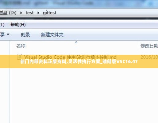 新门内部资料正版资料,灵活性执行方案_晴朗版VSC16.47